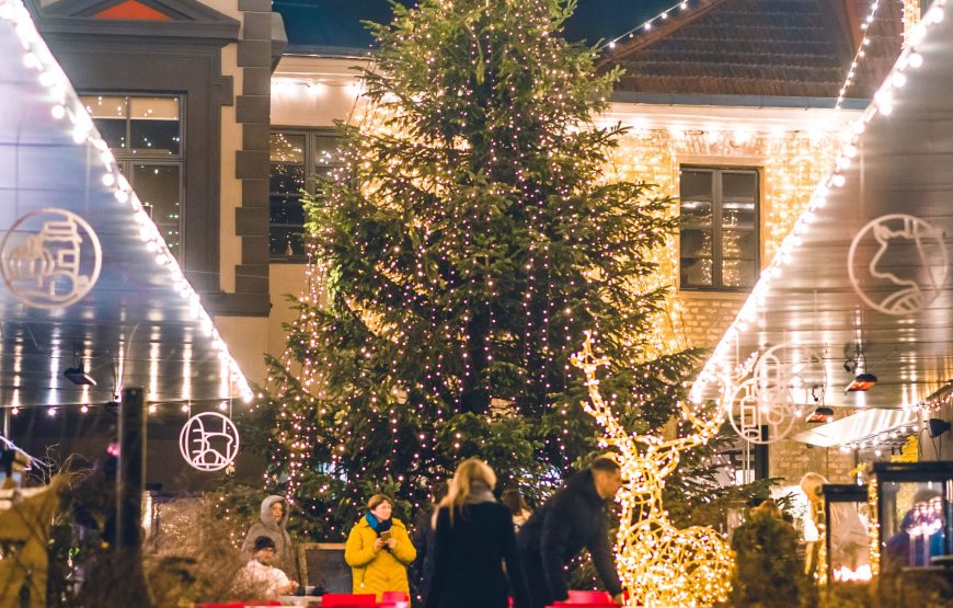 Vilnüs Yeni İl Turu✨🎄