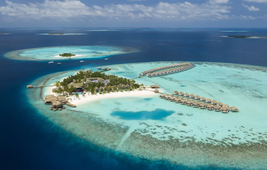 Maldiv Bal Ayı Turu