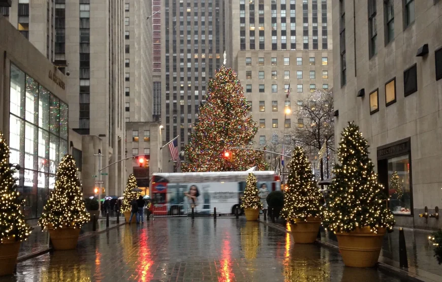New York New Year Tour🎄