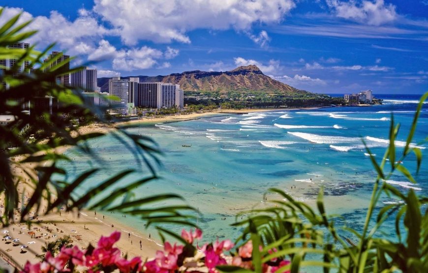 Hawaii Tour