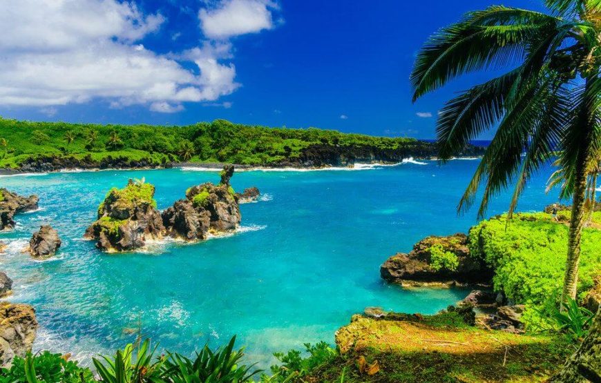 Hawaii Tour