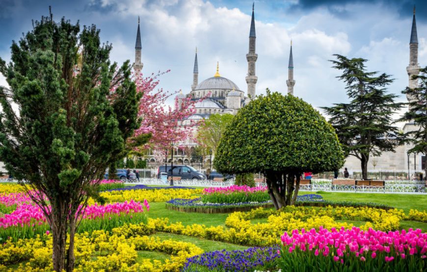 8 March Istanbul Tour