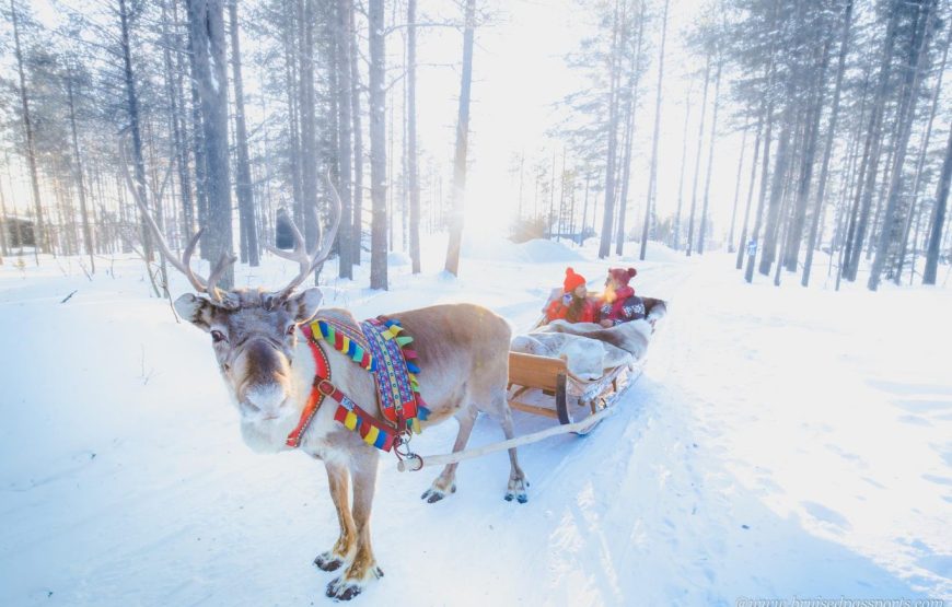 Lapland New Year Tour