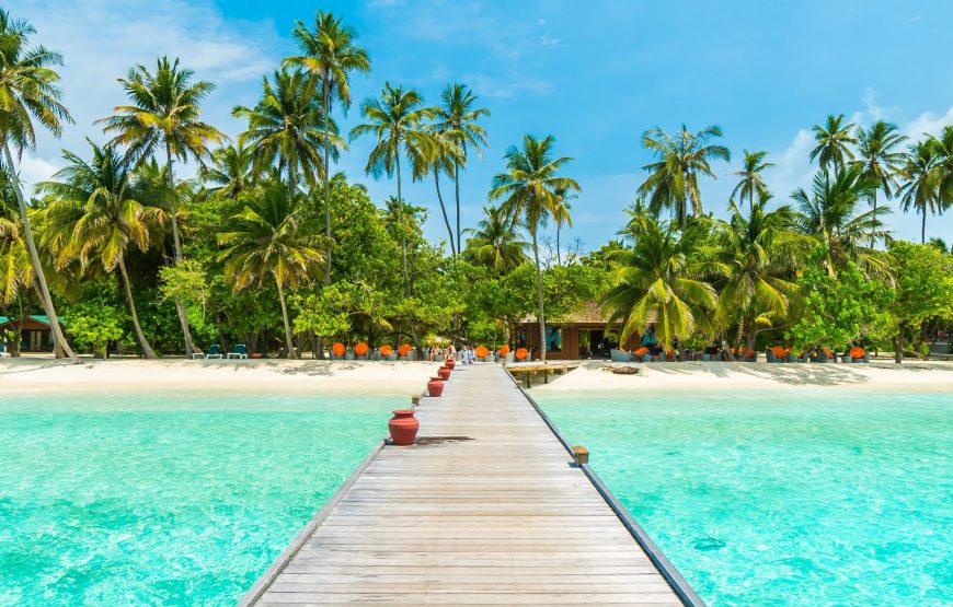 Maldives Honeymoon Tour