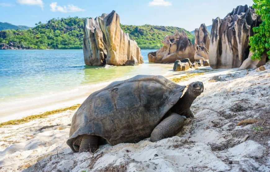 Seychelles Tour