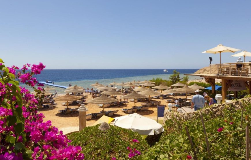 Sharm El-Sheikh Tour