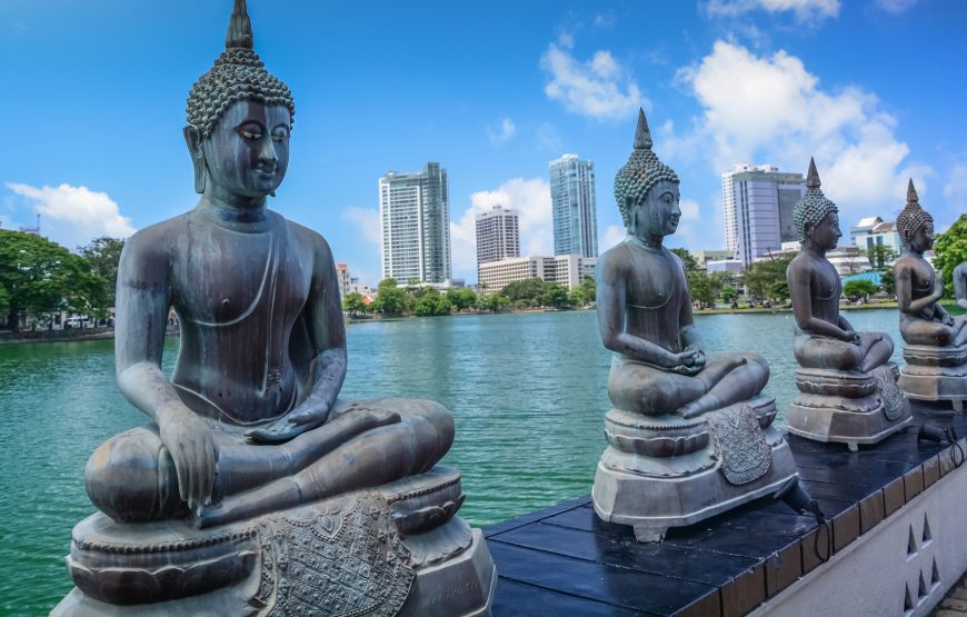 Sri Lanka Tour