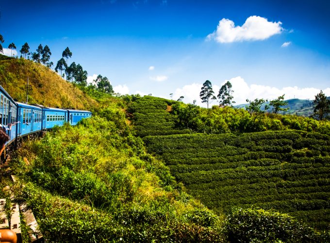 Şri Lanka Turu