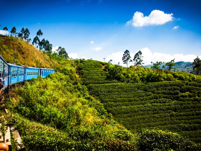 Şri Lanka Turu