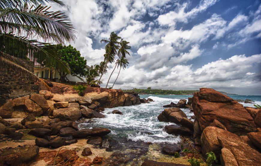 Sri Lanka Tour
