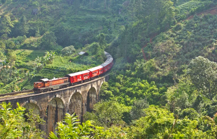 Sri Lanka Tour