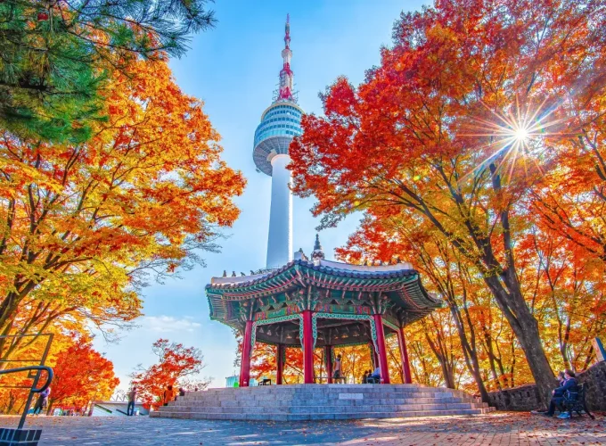 Seul Payız Turu 2026 🍂🏙️ – Koreya Mədəniyyəti, Müasir Şəhər Həyatı və Payız Gözəlliyi!